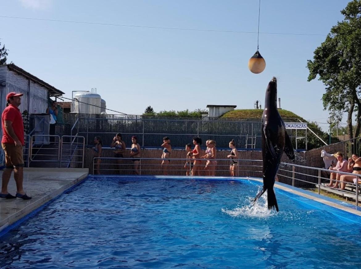 Halvany Vendeghaz Vásárosnamény Buitenkant foto
